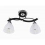 Люстра стельова Sirius B N0752/2 на 2 плафони