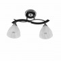 Люстра стельова Sirius B N0752/2 на 2 плафони