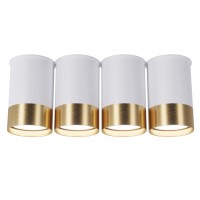 Точковий спот BP Black/White Gold на 4 лампи, арт. 25624 Золотий/білий 1