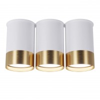 Точковий спот BP Black/White Gold трійний, арт. 25606 Золотий/білий 1