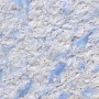 Жидкие обои 139/1 Max-Color