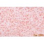 Жидкие обои 120/2 Max-Color