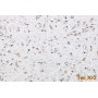 Жидкие обои 30/2 Max-Color