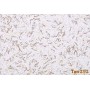 Жидкие обои 23/2 Max-Color