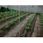 Опори для квітів та рослин Polyarm Ø 16 мм (3 метри)
